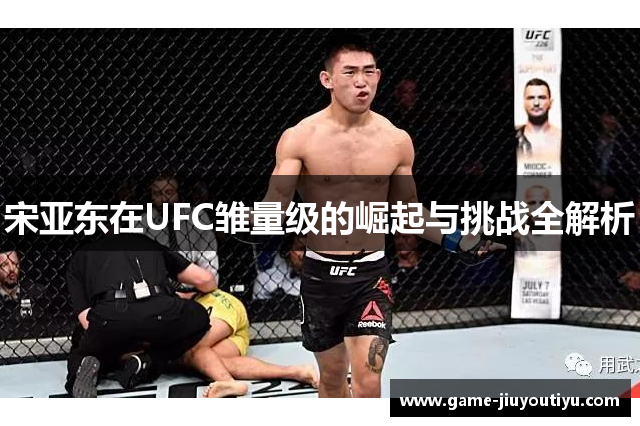 宋亚东在UFC雏量级的崛起与挑战全解析